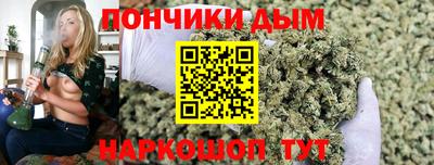 гашик Тула