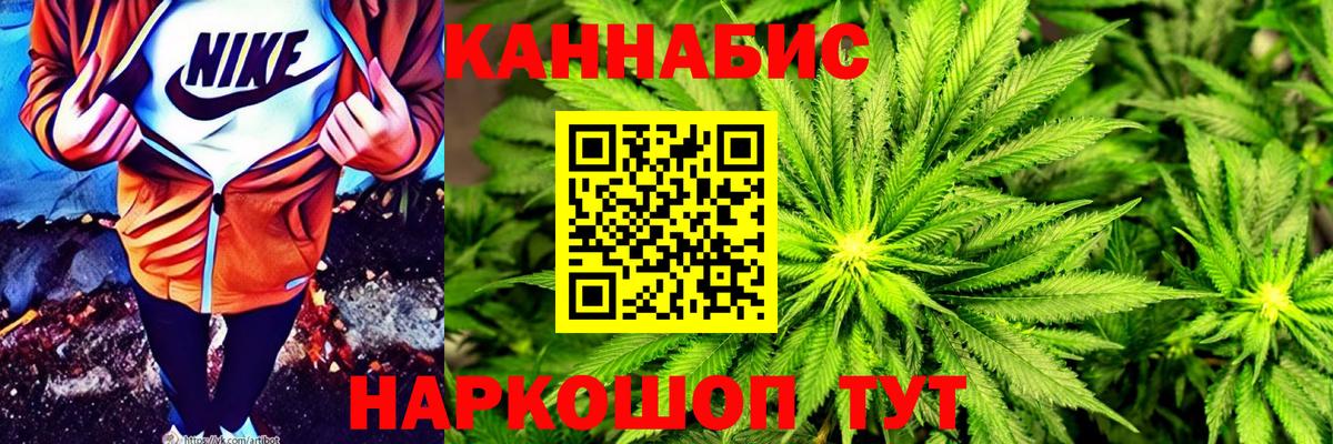Бор  Канабис сатива  Шишки марихуана конопля  Канабис AK-47  Вход с VPN 